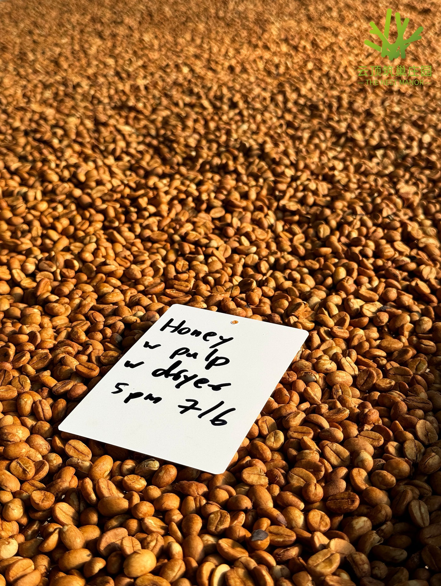 China,The Nest Manor, Honey